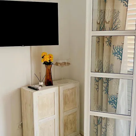 Poolside Paradise In Orlando 85 - Orlandito